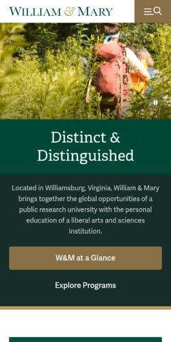 Screenshot of the audited page (Mobile 375×812)
