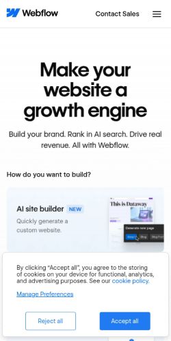 Screenshot of the audited page (Mobile 375×812)