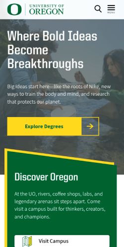 Screenshot of the audited page (Mobile 375×812)