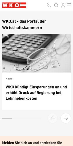 Screenshot of the audited page (Mobile 375×812)