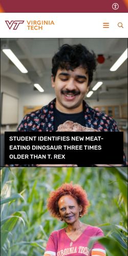 Screenshot of the audited page (Mobile 375×812)