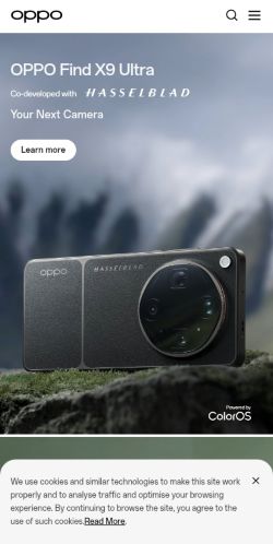 Screenshot of the audited page (Mobile 375×812)