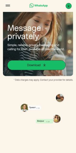 Screenshot of the audited page (Mobile 375×812)