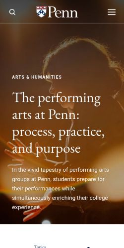 Screenshot of the audited page (Mobile 375×812)