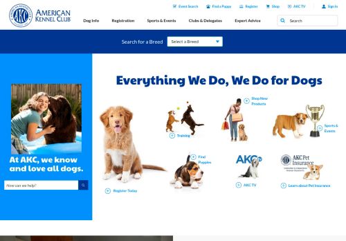 Screenshot of the audited page (Desktop 1440×900)