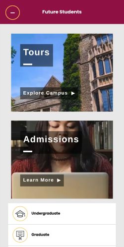 Screenshot of the audited page (Mobile 375×812)