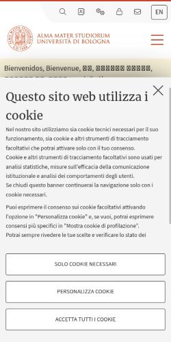 Screenshot of the audited page (Mobile 375×812)