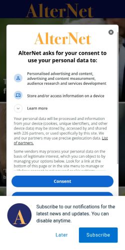 Screenshot of the audited page (Mobile 375×812)