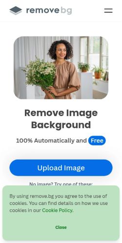 Screenshot of the audited page (Mobile 375×812)