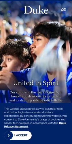 Screenshot of the audited page (Mobile 375×812)