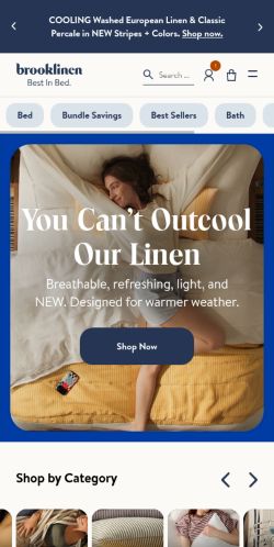 Screenshot of the audited page (Mobile 375×812)