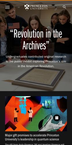 Screenshot of the audited page (Mobile 375×812)
