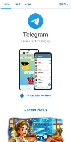 Screenshot of the audited page (Mobile 375×812)