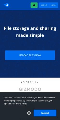 Screenshot of the audited page (Mobile 375×812)