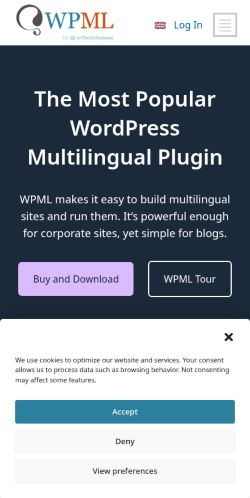 Screenshot of the audited page (Mobile 375×812)