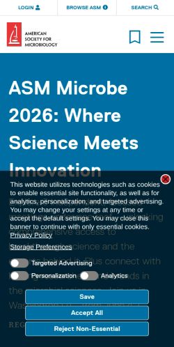Screenshot of the audited page (Mobile 375×812)