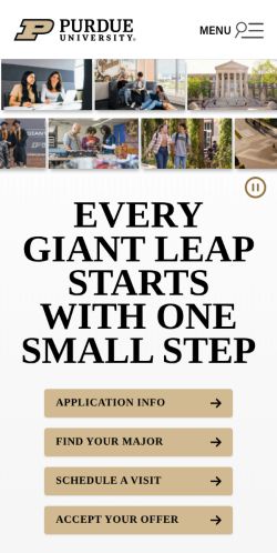 Screenshot of the audited page (Mobile 375×812)