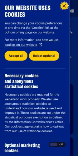 Screenshot of the audited page (Mobile 375×812)
