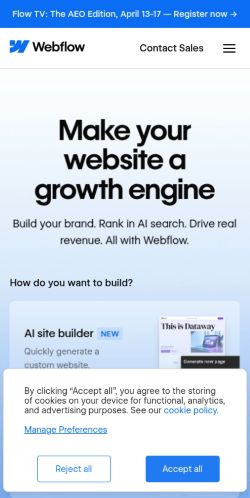 Screenshot of the audited page (Mobile 375×812)