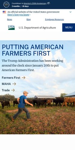 Screenshot of the audited page (Mobile 375×812)