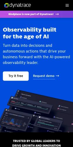 Screenshot of the audited page (Mobile 375×812)
