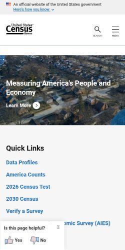 Screenshot of the audited page (Mobile 375×812)