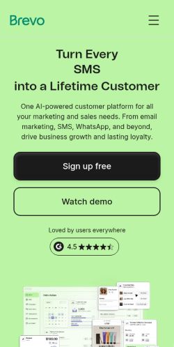Screenshot of the audited page (Mobile 375×812)