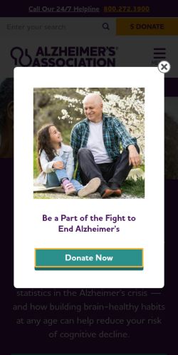 Screenshot of the audited page (Mobile 375×812)