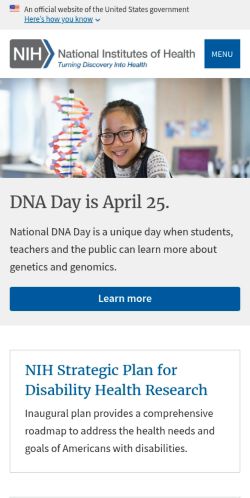 Screenshot of the audited page (Mobile 375×812)