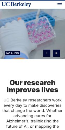 Screenshot of the audited page (Mobile 375×812)