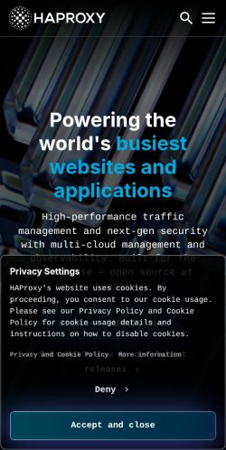 Screenshot of the audited page (Mobile 375×812)