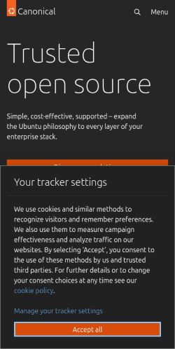 Screenshot of the audited page (Mobile 375×812)