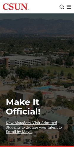 Screenshot of the audited page (Mobile 375×812)