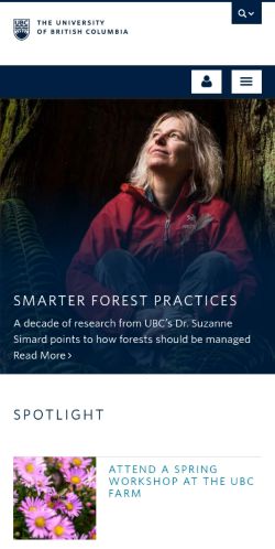 Screenshot of the audited page (Mobile 375×812)