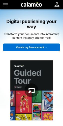 Screenshot of the audited page (Mobile 375×812)