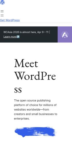 Screenshot of the audited page (Mobile 375×812)