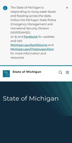 Screenshot of the audited page (Mobile 375×812)