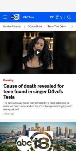 Screenshot of the audited page (Mobile 375×812)