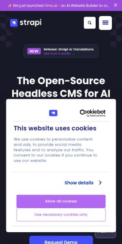 Screenshot of the audited page (Mobile 375×812)