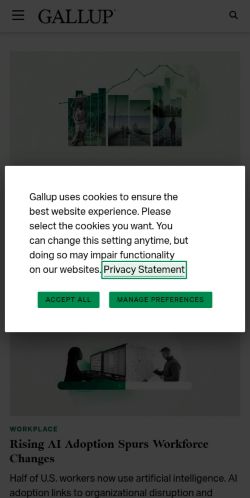 Screenshot of the audited page (Mobile 375×812)