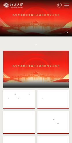 Screenshot of the audited page (Mobile 375×812)