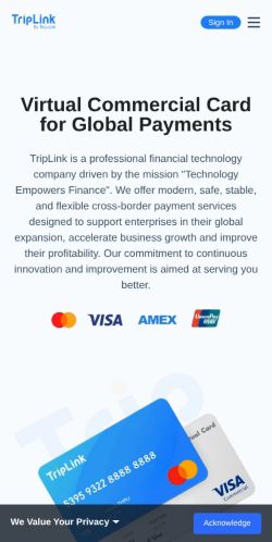 Screenshot of the audited page (Mobile 375×812)