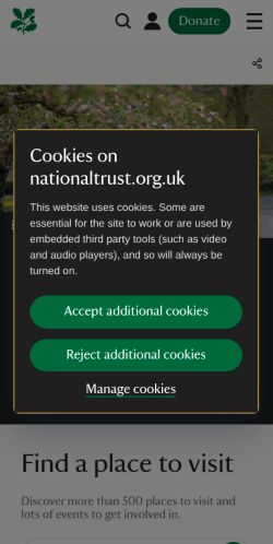 Screenshot of the audited page (Mobile 375×812)