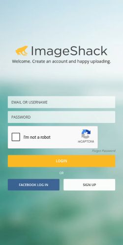 Screenshot of the audited page (Mobile 375×812)