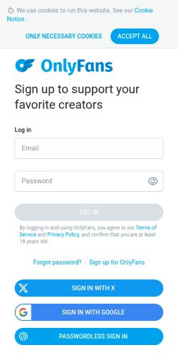 Screenshot of the audited page (Mobile 375×812)