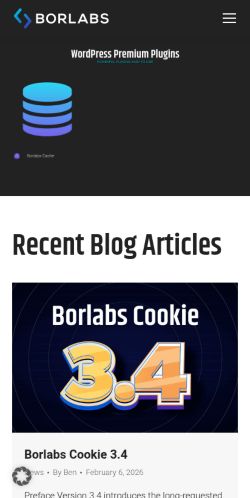 Screenshot of the audited page (Mobile 375×812)