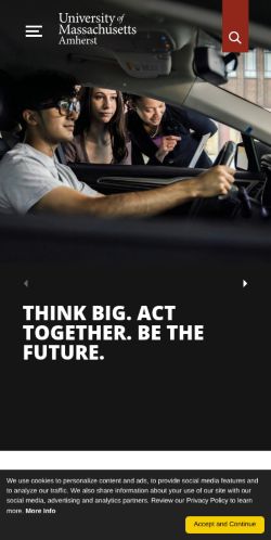 Screenshot of the audited page (Mobile 375×812)