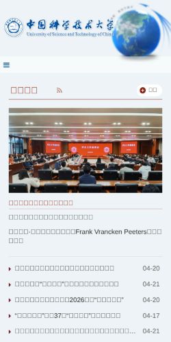 Screenshot of the audited page (Mobile 375×812)