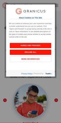 Screenshot of the audited page (Mobile 375×812)