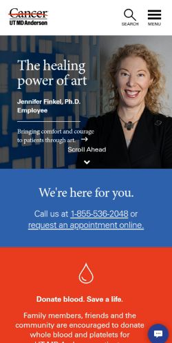 Screenshot of the audited page (Mobile 375×812)